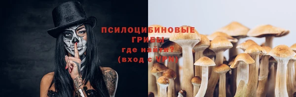 винт Алзамай