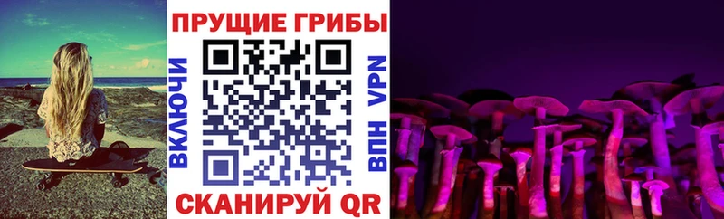 МЕГА ссылка Дедовск Галлюциногенные грибы Magic Shrooms