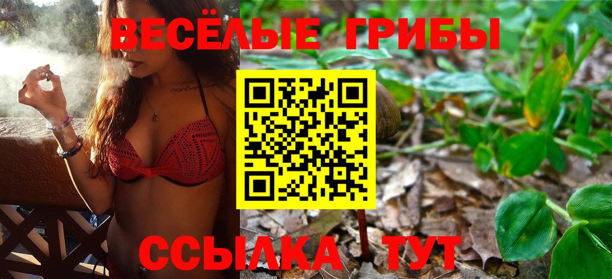 Дедовск  Псилоцибиновые грибы Cubensis  Вход с VPN 