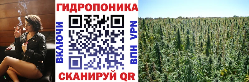 Шишки марихуана Amnesia Дедовск